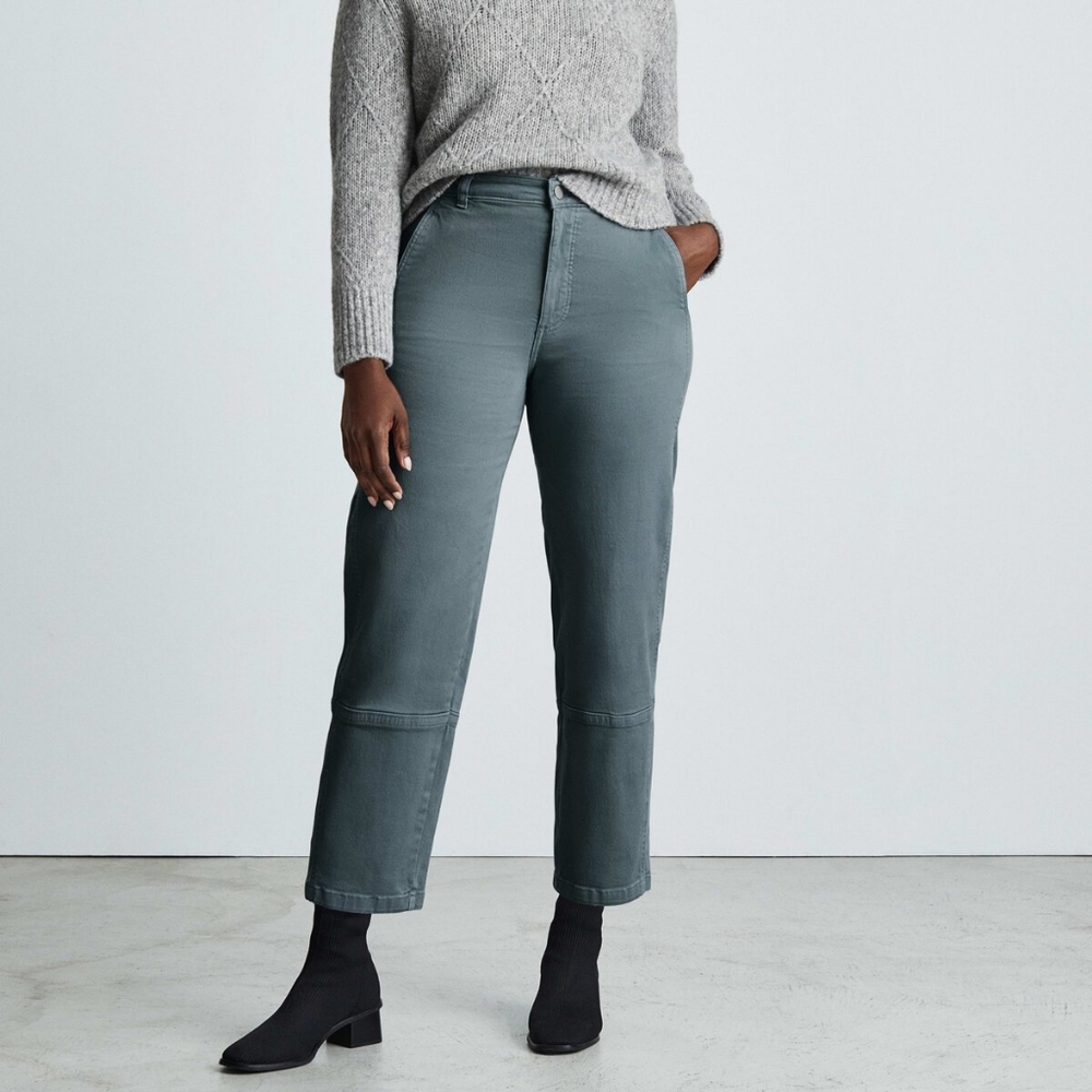 Everlane Blue Gray Utility Barrel Pants